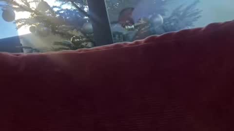 Velesk online show from December 8, 2024, 1:36 pm