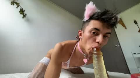 Snapshot of zorrosumiso chatting on August 6, 2026, 8:44 pm Zorrosumiso online show from August 6, 2026, 8:44 pm