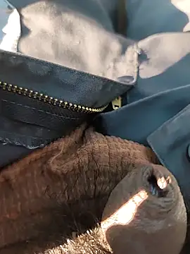 Nishu12356g online show from September 20, 2025, 2:40 pm