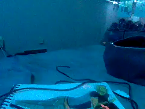 Fr4nk1eFFuxxx online show from January 3, 2025, 9:36 am