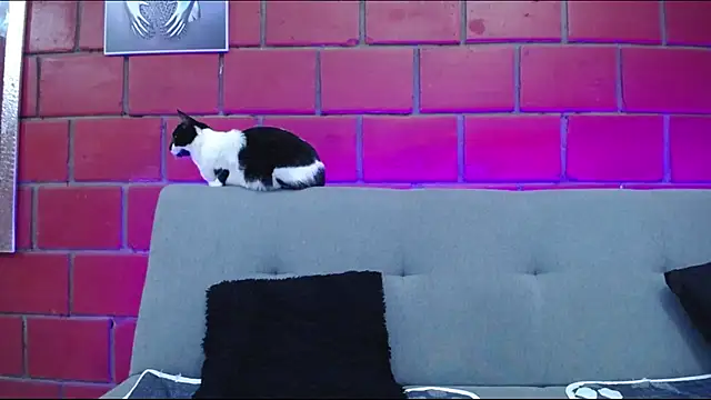 kiara eyes12 online show from February 25, 2025, 2:14 am