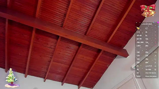 bhritany brow online show from December 31, 2024, 1:30 pm