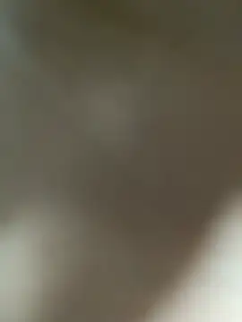 Lia flowers online show from March 1, 2025, 1:11 am