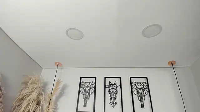 Rebeca jones online show from October 16, 2025, 12:28 pm