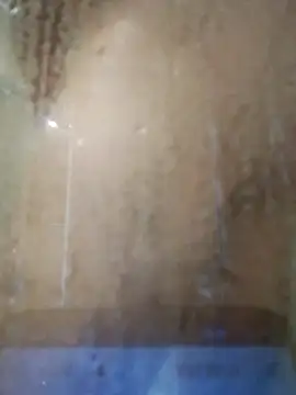 stiffandlubedxh online show from November 23, 2025, 7:46 pm