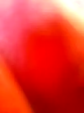 Snapshot of jcp681 chatting on May 16, 2026, 12:37 pm jcp681 online show from May 16, 2026, 12:37 pm