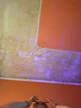 ducicsajsziii online show from March 6, 2025, 8:08 am