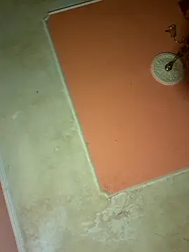 ducicsajsziii online show from March 17, 2025, 10:38 pm