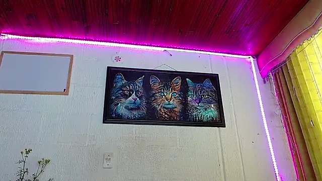 Niky 777 online show from February 5, 2025, 4:25 pm