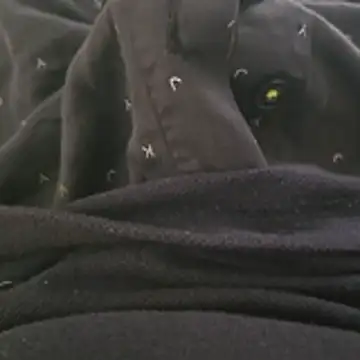 Snapshot of surfer_fun29 chatting on December 2, 2025, 5:35 am surfer fun29 online show from December 2, 2025, 5:35 am