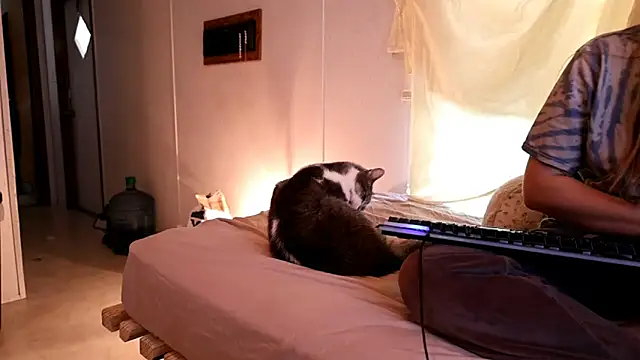 xxpixeyxx online show from April 21, 2026, 2:34 pm