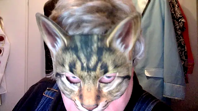 Snapshot of Sigorius chatting on January 6, 2026, 1:09 am Sigorius online show from January 6, 2026, 1:09 am
