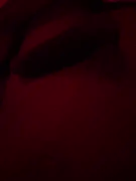 xforx online show from December 17, 2025, 11:11 pm