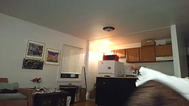 SiminFox online show from November 27, 2025, 4:03 am