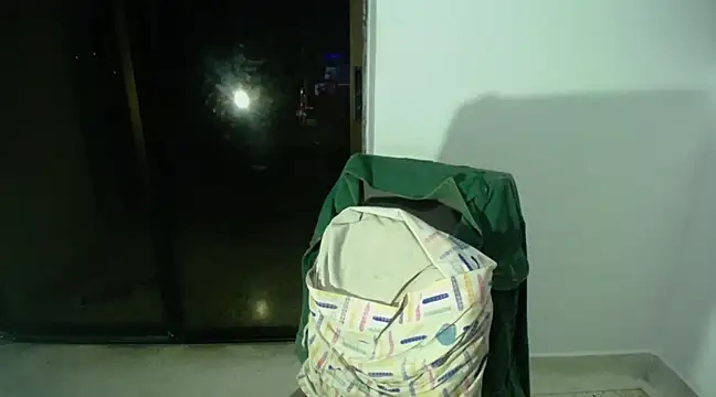 HugeDanex online show from January 26, 2025, 9:08 am