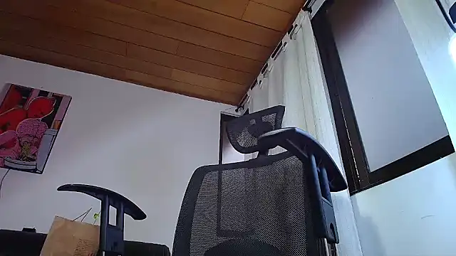 ADONIS ART01 online show from December 28, 2024, 10:34 pm