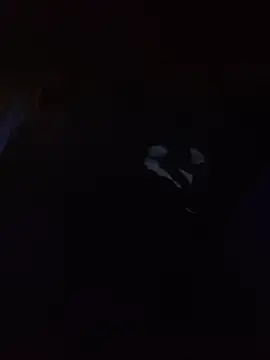 Hotbodyscottie online show from March 13, 2026, 9:05 am