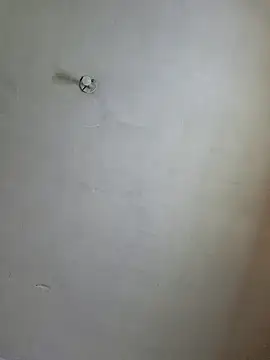 Ricorryxh online show from December 14, 2024, 5:29 am