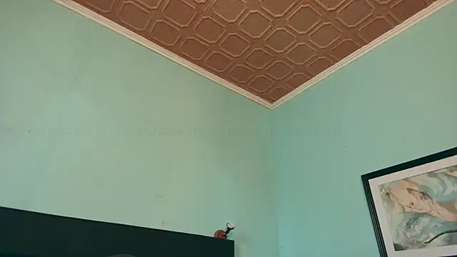 Prxscillia Tx online show from January 14, 2025, 3:15 pm