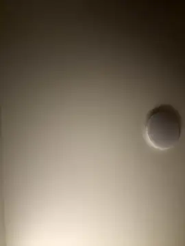 Dreamer553 online show from December 4, 2025, 12:31 am