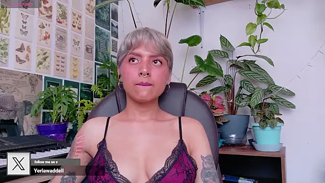 Yeriawaddell  online show from February 19, 2026, 5:42 pm