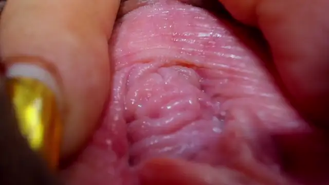 Snapshot of tatiana_big_ass_boobs chatting on February 26, 2025, 12:38 am tatiana big ass boobs online show from February 26, 2025, 12:38 am