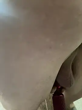 Followthepiper online show from February 3, 2025, 11:20 am