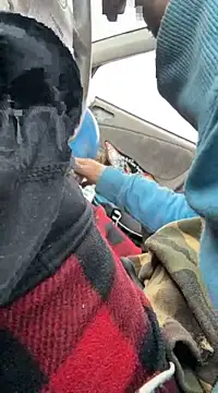 Followthepiper online show from March 22, 2025, 3:42 pm