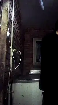 Cameron puppy online show from March 7, 2025, 6:00 pm