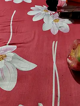 Dil-Ka-Radhika online show from October 24, 2025, 2:19 am