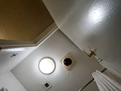 Treemandude online show from October 29, 2025, 2:36 am