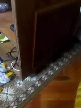 babyboy74 online show from October 10, 2025, 6:23 am