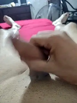 quierodarleche69 online show from February 16, 2026, 3:02 am