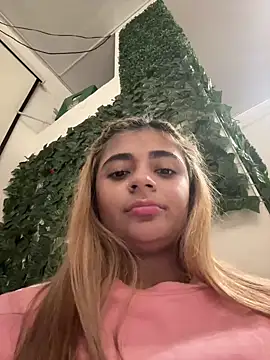 pamell col online show from December 14, 2024, 12:11 am