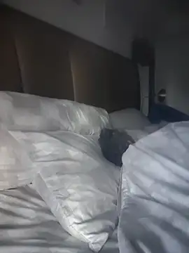 CeceilaMoon online show from April 21, 2026, 1:06 pm