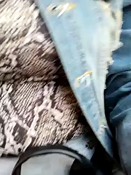 Emily Wane online show from January 7, 2025, 3:33 pm