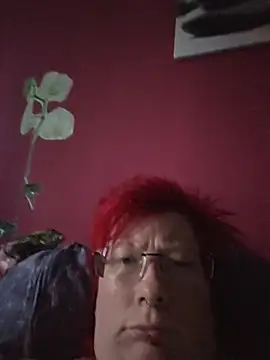 Snapshot of dieGeile0411 chatting on July 17, 2026, 6:24 pm dieGeile0411 online show from July 17, 2026, 6:24 pm