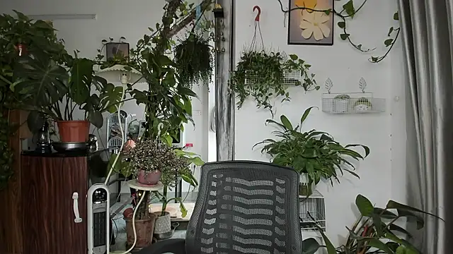 Oliver Nl online show from March 13, 2026, 5:03 am