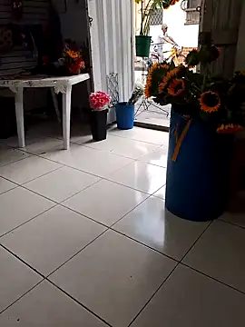 VivienAndClark online show from October 18, 2025, 7:25 pm