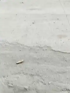 Monster Bigdick online show from December 7, 2024, 10:56 am