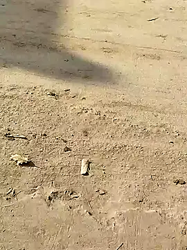 Monster Bigdick online show from December 8, 2024, 3:32 am