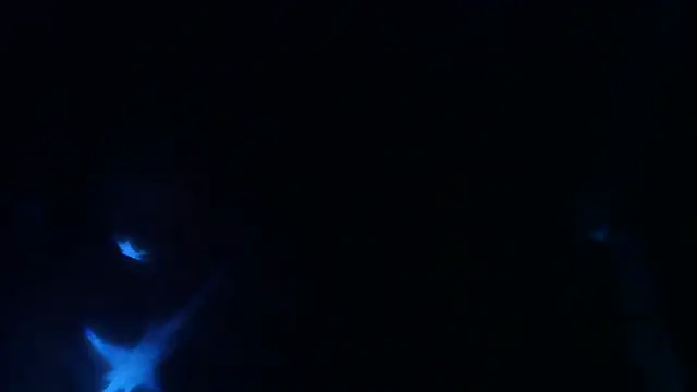 Snapshot of perversalus chatting on May 9, 2026, 1:22 am perversalus online show from May 9, 2026, 1:22 am
