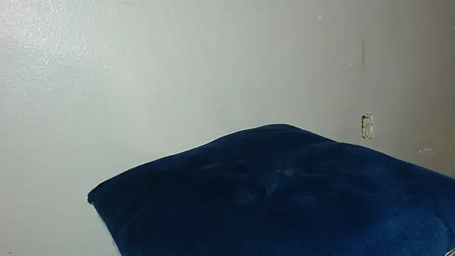 Dogz n daugthers online show from December 20, 2024, 8:17 am