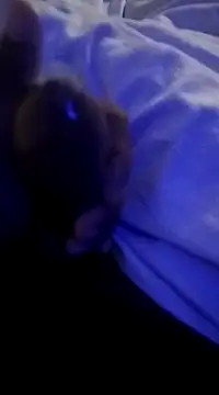 rana cute online show from January 22, 2025, 7:24 pm