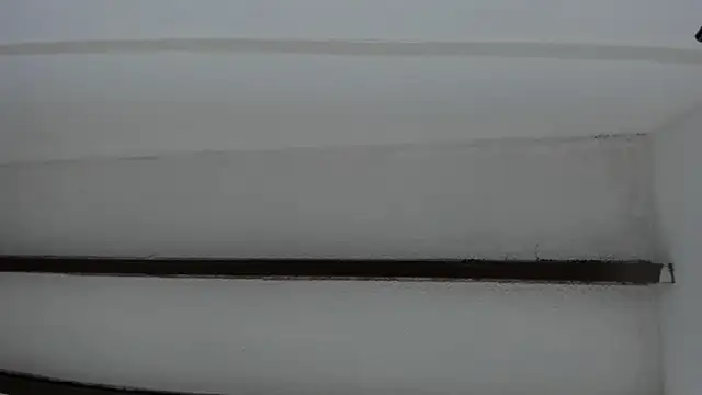 Oriana Guzman online show from January 20, 2025, 10:40 am