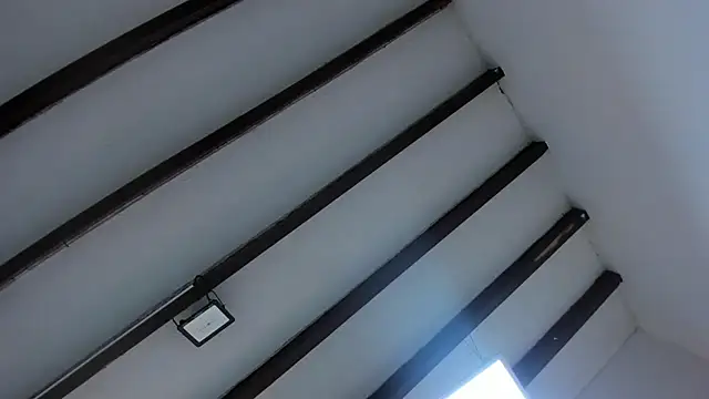 Oriana Guzman online show from February 23, 2025, 11:55 am