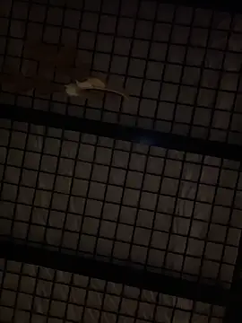 SexyB214 online show from December 14, 2024, 12:44 pm