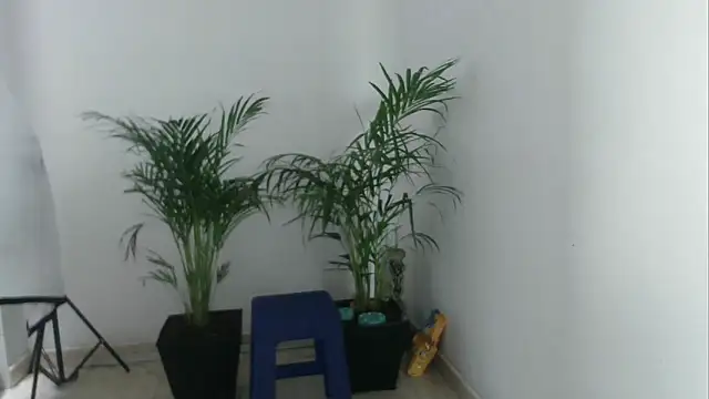 skylarhot420 online show from March 5, 2025, 3:07 pm