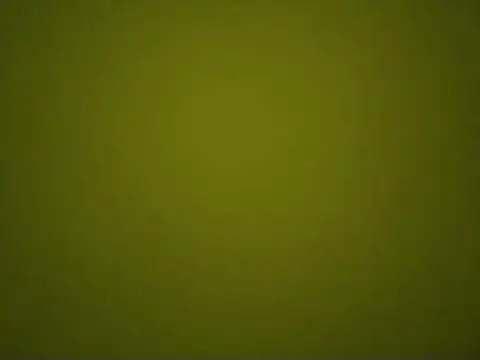 Snapshot of Naughtyandhairy chatting on January 5, 2025, 7:28 pm Naughtyandhairy online show from January 5, 2025, 7:28 pm