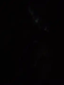 SassyAss Coco online show from April 22, 2026, 5:54 am